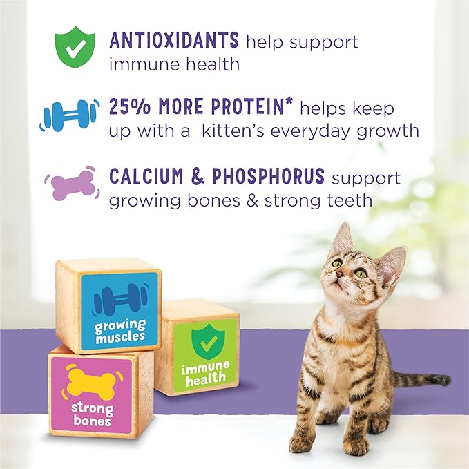 Purina Kitten Chow Kitten Food Healthy Development with Real Chicken Dry Kitten Food - (Pack of 4) 3.15 lb. Bag
