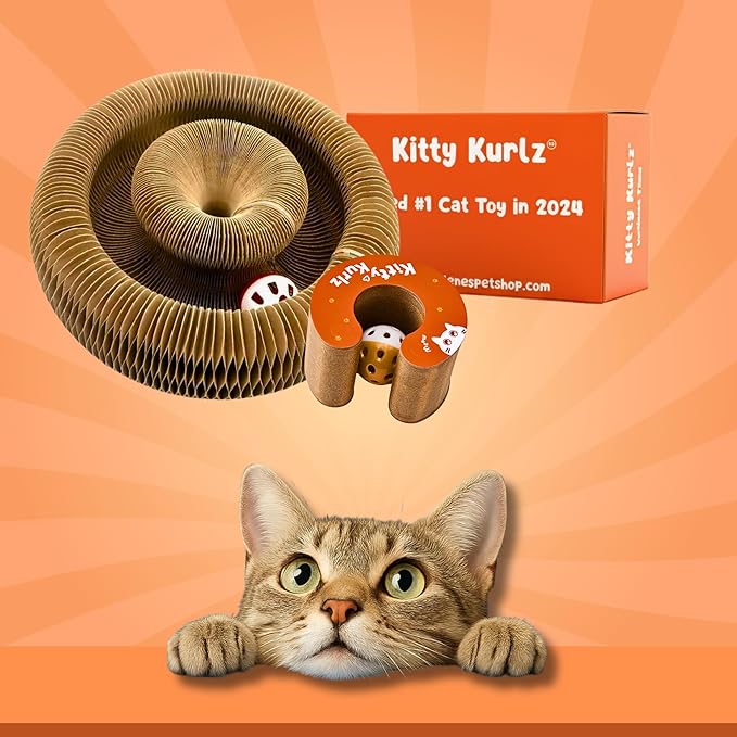 KITTY KURLZ Interactive Cat Toy & Cardboard Cat Scratcher, Collapsible Ball Track with Bell, Reversible Scratch Ring for Play, Chase and Lounge