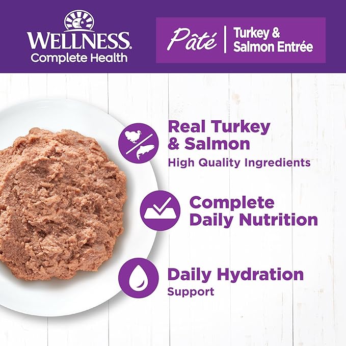Wellness Complete Health Pate Adult Canned Wet Cat Food, Natural, Protein Rich, Grain Free, Turkey and Salmon Entrée Recipe, 12.5 oz, Pack of 12 Cans
