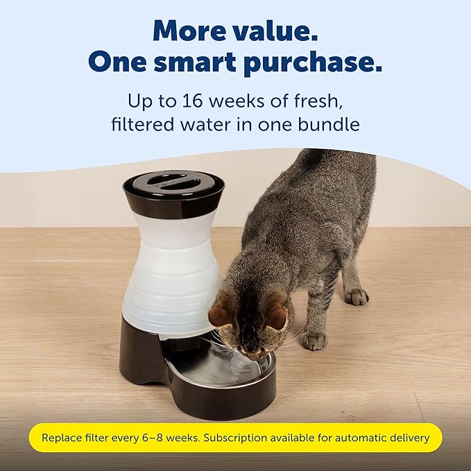 PetSafe Healthy Pet Food & Water Stations - Cat & Dog Food Storage Container - Filter Included with Waterer - Keeps Food & Water Fresh - Suitable for Small, Medium, & Large Dogs - Stainless Steel Bowl