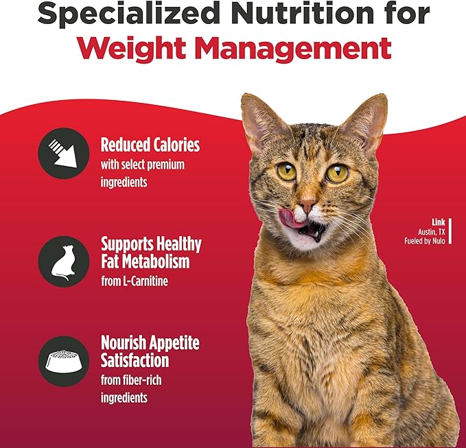 Nulo Freestyle Adult Trim Dry Cat Food - Salmon & Lentils, High Protein, Grain Free, Weight Management Kibble with Probiotics & L-Carnitine, 2lb Bag