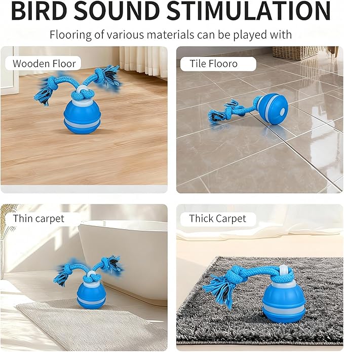 Interactive Dog & Cat Toys for Small Dogs and Indoor Cats - Automatic Moving Ball with Chirping Sound, Motion Activated Self Play Toy to Entertain Bored Pets, Durable USB-C Rechargeable (1 Blue)