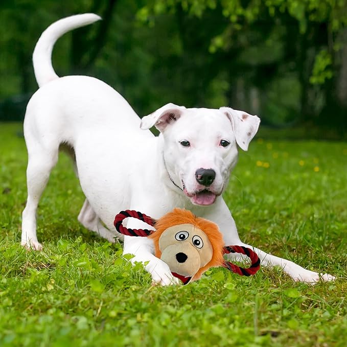NHL Ottawa Senators Mascot Toy for Dogs & Cats. Cute & Entertaining Face with Heavy-Duty Ropes. 7" Chewy Cartoon Toy with Inner Squeaker