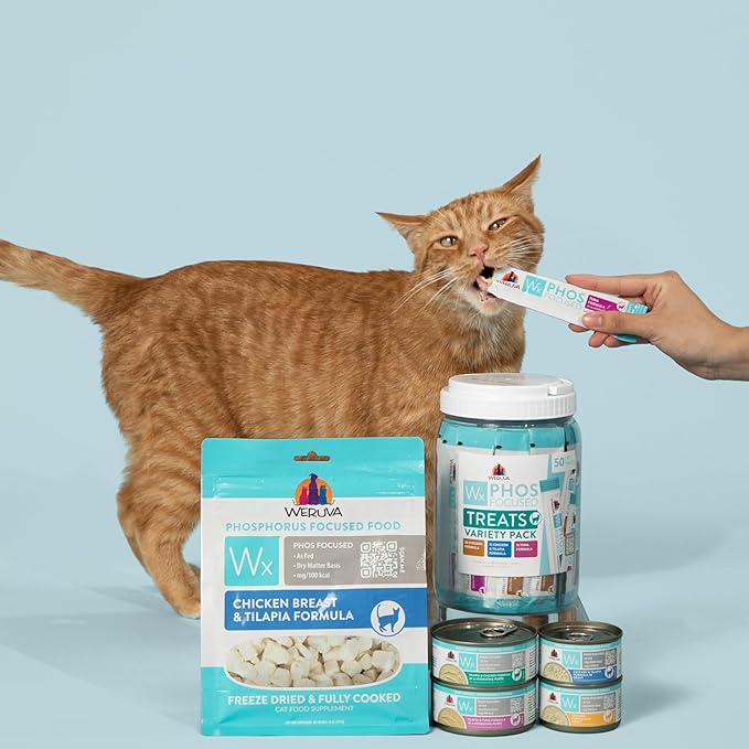 Weruva Wx Phos Focused, Lickable Cat Treats Variety Pack, 0.5oz Tube, Pack of 24