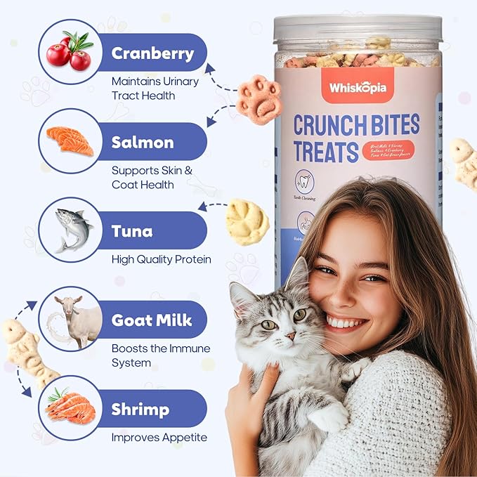 13.4 OZ Catnip Cat Treats for Indoor Cats, Mixed Flavor Biscuits with Salmon Shrimp Tuna Cat Grass, Hairball Control & Dental Care Kitten Snacks Crunchy Training Bites for Teeth Cleaning