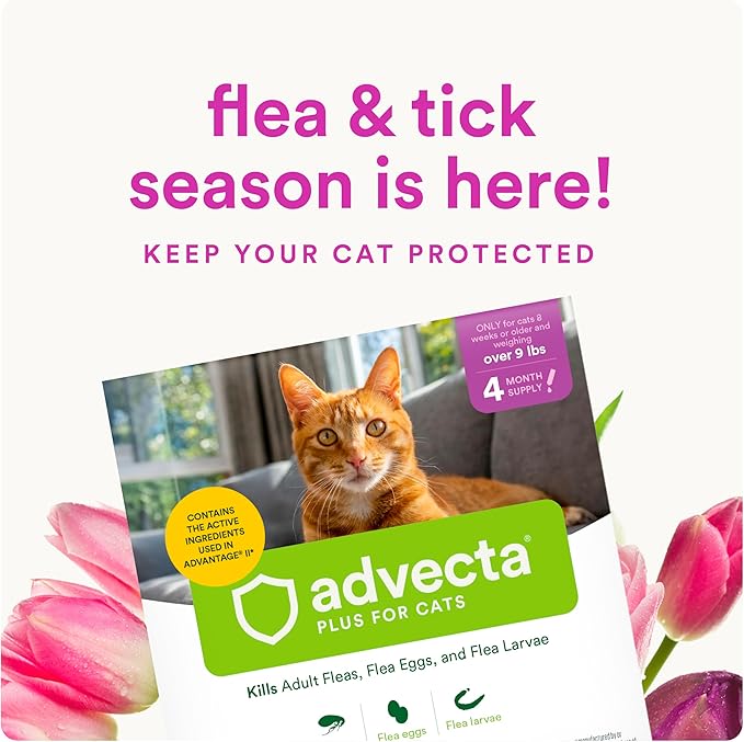 Advecta Plus Topical Large Cat Flea Treatment for Cats and Kittens, Flea Prevention and Control, Fast-Acting Waterproof Drops, 6-Month Supply