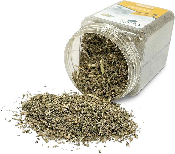 Catnip Jar [Set of 2] Size: 2.25 Ounces