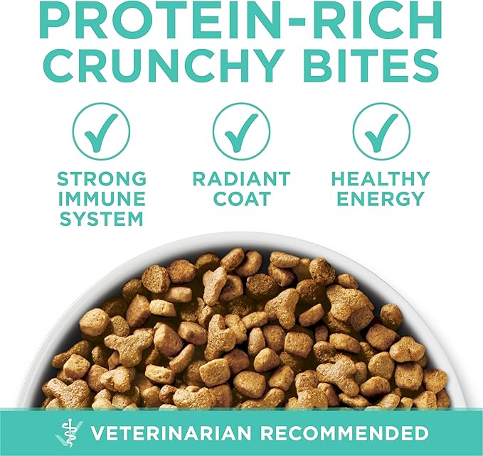 Purina ONE Sensitive Stomach, Sensitive Skin, Natural Dry Cat Food, +Plus Sensitive Skin and Stomach Formula - 3.5 Lb. Bag