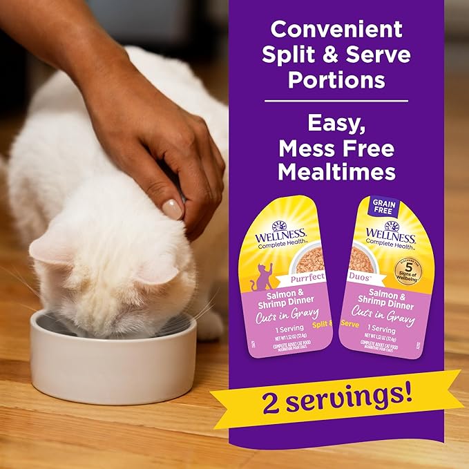 Wellness Complete Health Purrfect Duos Cuts in Gravy Adult Wet Cat Food, Natural, Protein Rich, Grain Free, Salmon and Shrimp Dinner Recipe, 2.64 oz, Pack of 12 Split Cups
