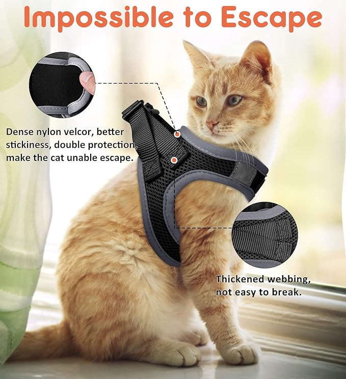 Cat Harness for Walking Escape Proof 2 Pack, Lightweight Kitten Harness, Easy Control Breathable Cat Vest with Reflective Strip (No Leash)