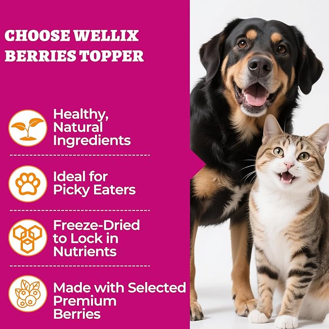 Wellix Freeze Dried Cat & Dog Treats - High Protein Cat Food Toppers with 3 Berries Added (Blueberry/Strawberry/Cranberry for Dogs) - Cat Treats for Indoor Cats 7.05oz