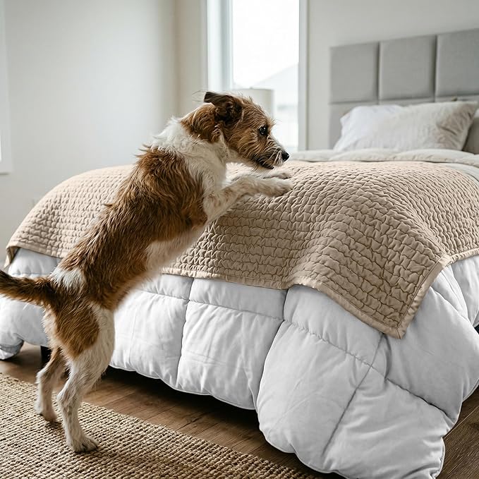 PAULATO BY GA.I.CO. Waterproof Blanket for Bed – Queen Absorbent Couch Cover – Machine Washable Stain-Proof Pad for Large Sofa – Pets Dogs & Cats Friendly Protector - Macadamia