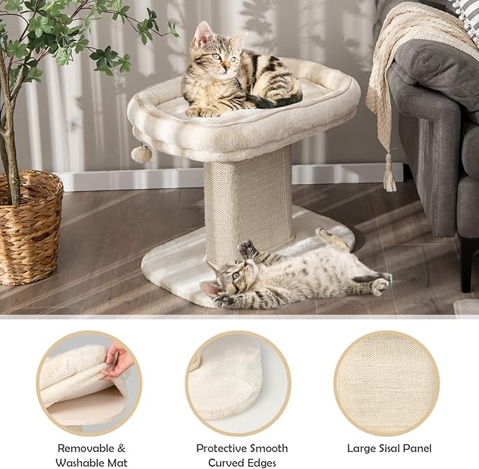 PETSITE 19.5-inch Small Cat Tree, 2-Tier Minimalist Cat Tree with Sisal Scratching Post, Extra Large Comfy Top Perch, and Dangling Ball, Ideal for Indoor Cats, Supports up to 44 lbs, Beige