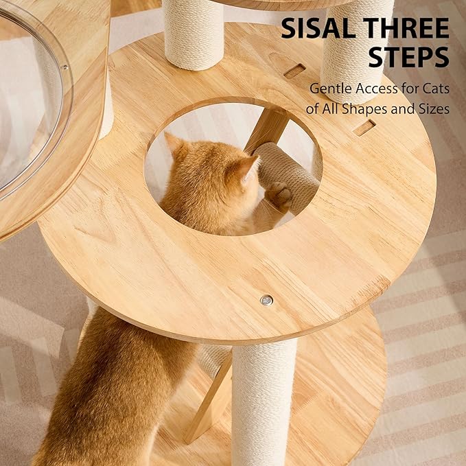 HITTITE Solid Wood Cat Tree Tower with Scratching Post, 61 Inches Tall Cat Towers with Capsule and Condo, Modern Cat Tower with Climbing Ladder and Removable Top Bed for Indoor Cats.