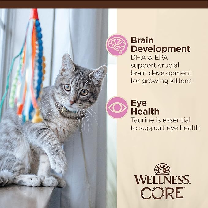 Wellness CORE Tiny Tasters Minced Kitten Wet Cat Food,Natural,Protein-Rich,Grain Free,1.75-Ounce Pouch,(Chicken),(Pack of 24)