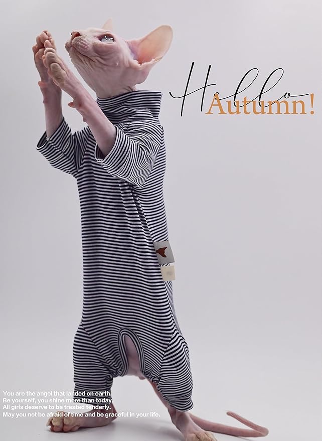 Sphynx Cat Clothes 4 Legs Pure Cotton Comfortable Stretch Hairless Cat Clothes, Devon Clothes, Kornish Clothes and Small Cats (XX-Large)