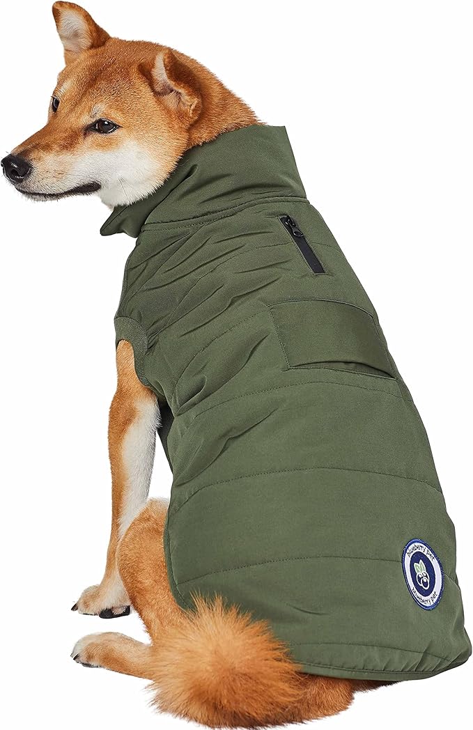 Blueberry Pet Cozy & Comfy Windproof Waterproof Quilted Fall Winter Dog Puffer Jacket in Dark Olive, Back Length 12", Size 10", Warm Coat for Small Dogs