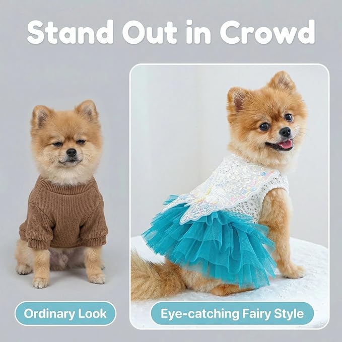 Fairy Dog Dress for Small Dogs & Cats, Lake Blue Princess Outfit with Embroidered Butterfly Wings, Lace Top & Soft Tulle Skirt, Snap Closure (XL)