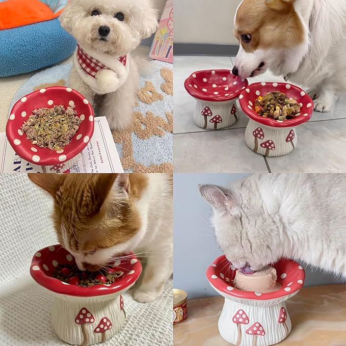 Cat Slow Feeders Set, Raised Ceramic Cat Bowl, Tilted Design, no Black Chin, Gut & Neck-Friendly,Pet Food and Water Bowls (Cute Mushroom Shape)