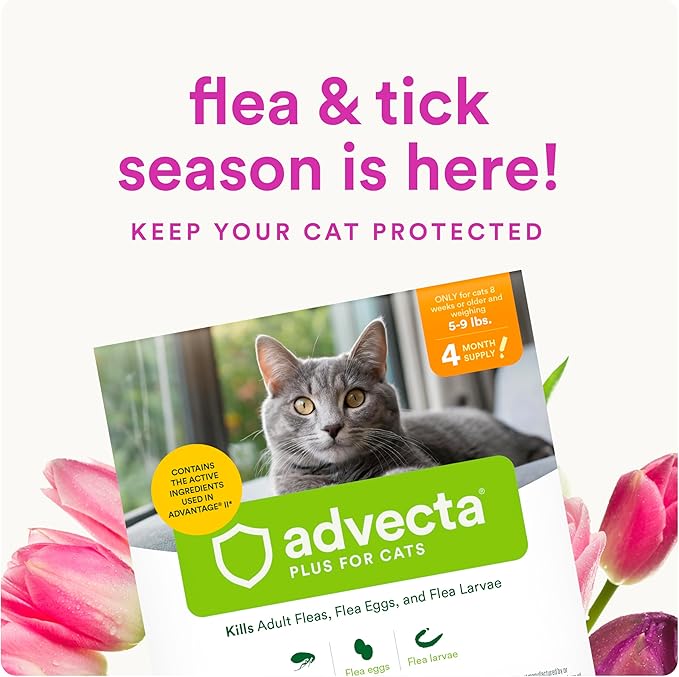 Advecta Plus Topical Flea Treatment for Cats and Kittens, Flea Prevention and Control, Small & Large, Fast-Acting Waterproof Drops, 2-Month Supply
