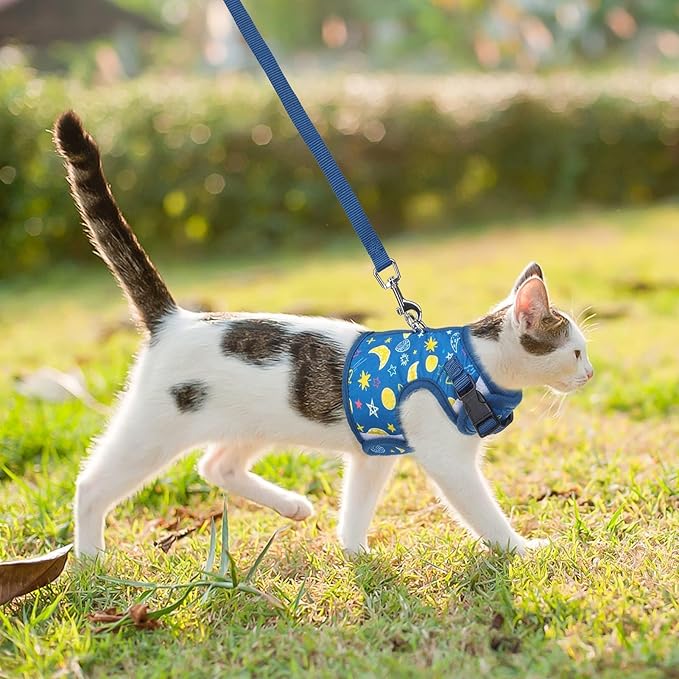 BINGPET Cat Harness with Leash Escape Proof - Fashionable Mesh Cat Dog Walking Harness Leads, Adjustable for Kitties Puppies Small Animals,Galaxy