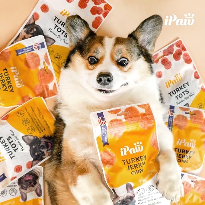 iPaw Soft Cat Treats for Indoor Cats, Healthy Kitten Snacks with Probiotics, Grain Free, Easy to Digest (Chicken and Cranberry)