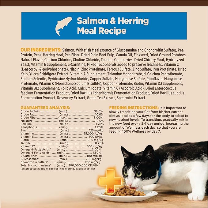 Wellness CORE+ Adult Dry Cat Food for Indoor Cats, Natural, Grain Free Kibble, Salmon and Herring Meal Recipe, 11 lb Bag