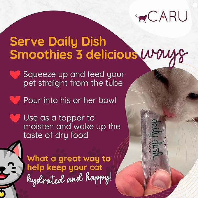 Caru - Daily Dish Chicken Smoothies - Lickable Treat for Cats - Supports Pet Hydration - Wet Cat Food/Meal Topper - Traceable Ingredients - Wheat, Corn & Soy Free - Non-GMO - 0.5 oz - 4 Tubes