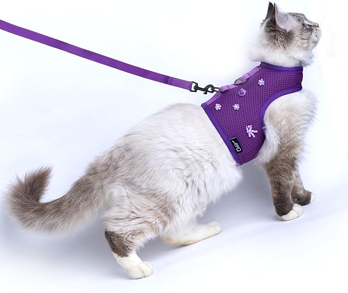 Kitty Harness and Leash for Walking Escape Proof Breathable Mesh Fabric, Purple, X-Small, Adjustable Cat Walking Jackets, Padded Stylish Cat Vest