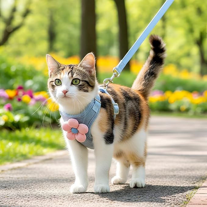 Cat Harness and Leash Set, Escape Proof Safe Kitten Vest Harnesses Adjustable Comfy Breathable Soft Mesh Step-in Jacket with Flower for Small Pet Kitty Puppy Dogs Bunny Walking