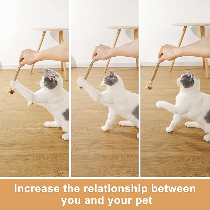 PAZ'S GIFT Cat Toys Catnip Toys Cat kick Toy Natural Silvervine Catnip Sticks Kitten Teeth Molar Chew Toys, cat Indoor Toys Interactive cat Cleaning Teeth,Reduce Obesity and Loneliness 3-Pack