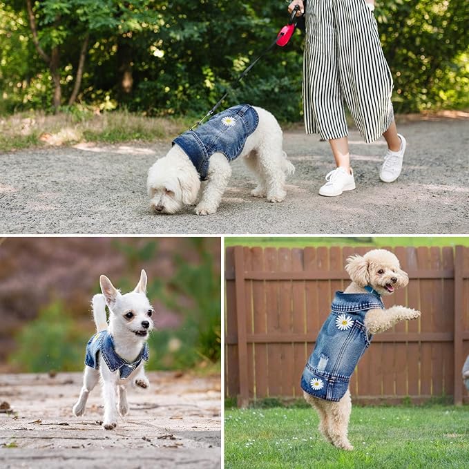 Dog Denim Jacket with Embroidered Daisy, Ripped Vintage Jean Vest for Small Dogs, Pugs, Chihuahuas, Spring Summer Fall Festival Outfit, XXL (Fits Chest 19-20.5", NOT for Large Dogs)