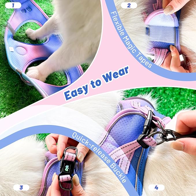 QQPETS Cat Harness and Leash Set for Walking Escape Proof, Safe Adjustable Kitten Vest with Reflective Strips, Easy Control Soft Mesh Lightweight Jacket (Blue-Pink Gradient, M(15.7”-17.7”))