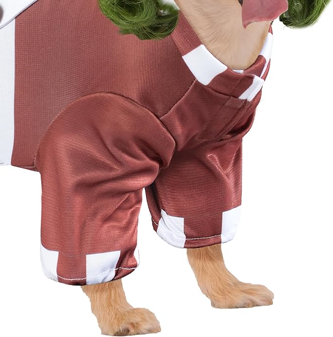 Rubies Willy Wonka and the Chocolate Factory: Oompa Loompa Pet Costume for For Dogs or Cats, Medium