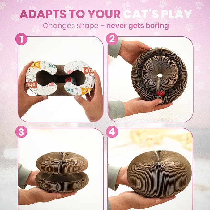 Fin & Jacky Magic Organ Cat Scratcher Board Toy, Upgraded Magnets & Durable High-Density Cardboard for Stability, Eco-Friendly, Interactive Indoor Playboard