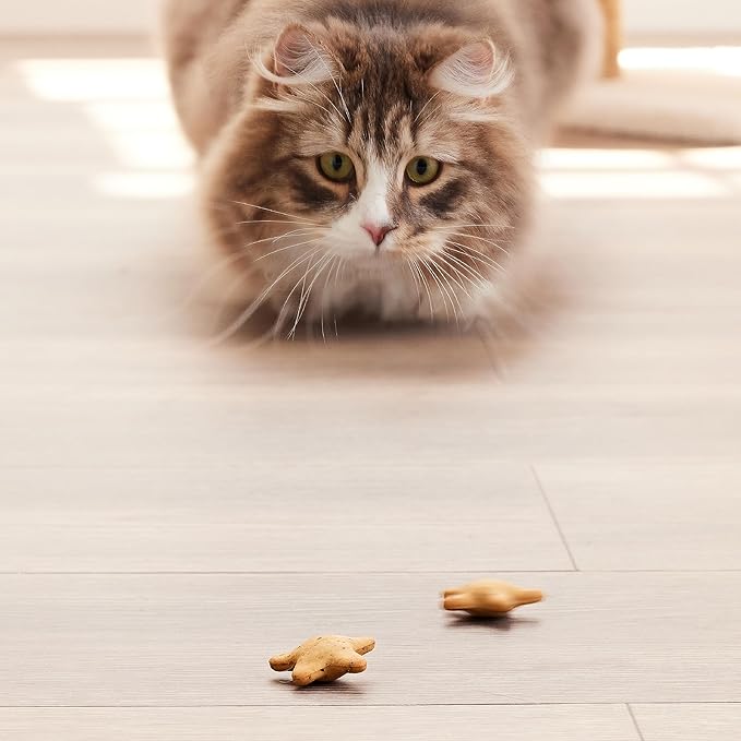Good ‘n’ Tasty Spinning Stars Cat Treats, 3.2 Ounce Bag, 2-in-1 Treat & Toy Made with Real Chicken, Chicken Liver & Catnip, Encourages Playfulness & Low Calorie (Pack of 2)