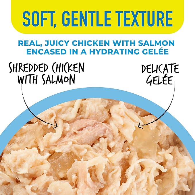 Tiki Cat Gelee Wet Cat Food, Chicken & Salmon, 2.8 oz. Pouch (12 Count)