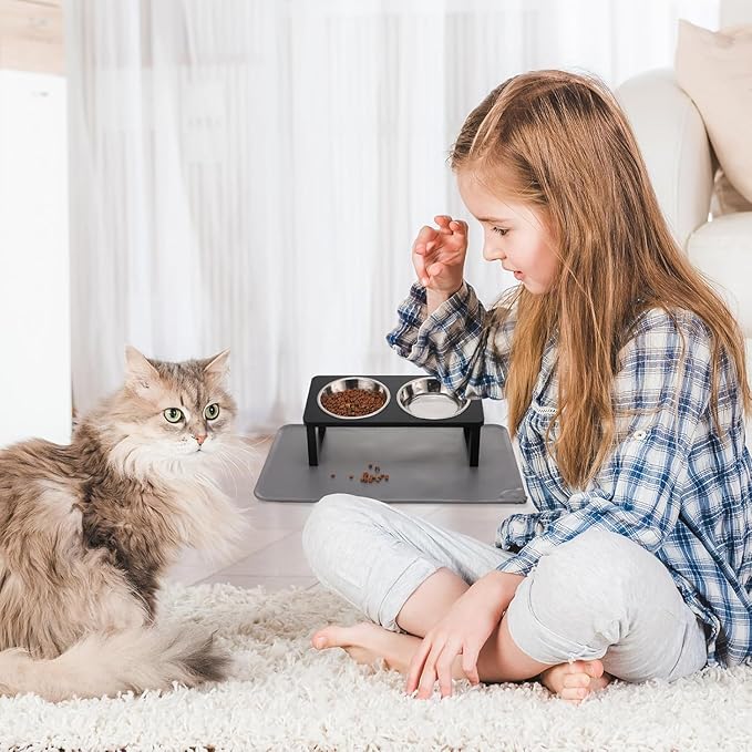 2Pack Elevated Cat Bowls with Food Mat,15°Tilted Stand Anti Vomiting Raised Cat Dishes for Food and Water,2 Stainless Steel Bowls for Cats and Puppy,Black