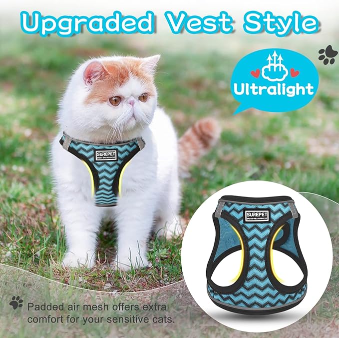 Cat Harness and Leash Escape Proof,Adjustable Soft Mesh Kitten Vest Harness for Walking Reflective Pet Harness for Cat Small Dogs Puppy (Blue, XXS)