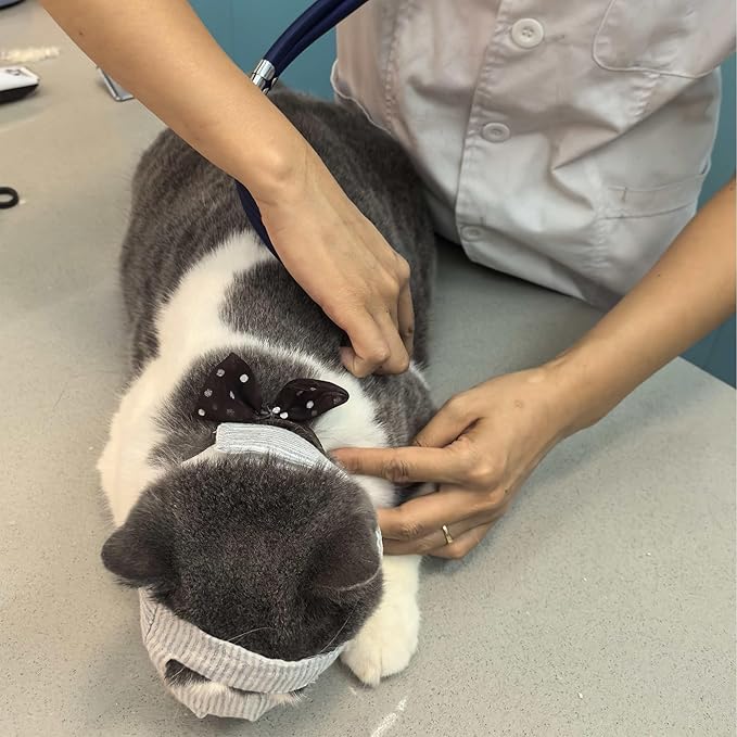 Cat Muzzle for Eye Drops, Adjustable Anti-Bite Cat Mouth Mask for Nail Clipping (Open M)