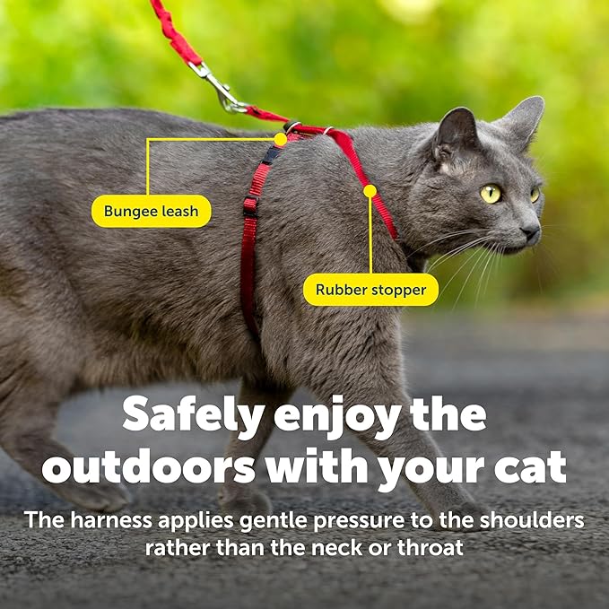 PetSafe Come with Me Kitty Harness and Bungee Leash Adjustable, Lightweight Harness for Cats Medium, Red