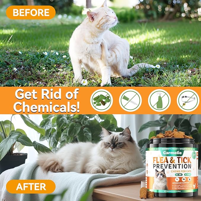 Cat Flea Chews + Dog Flea Drops Bundle – 200 Chicken-Flavored Chews for Cats + Topical Herbal Drops for Dogs – Natural Flea & Tick Prevention for Multi-Pet Homes