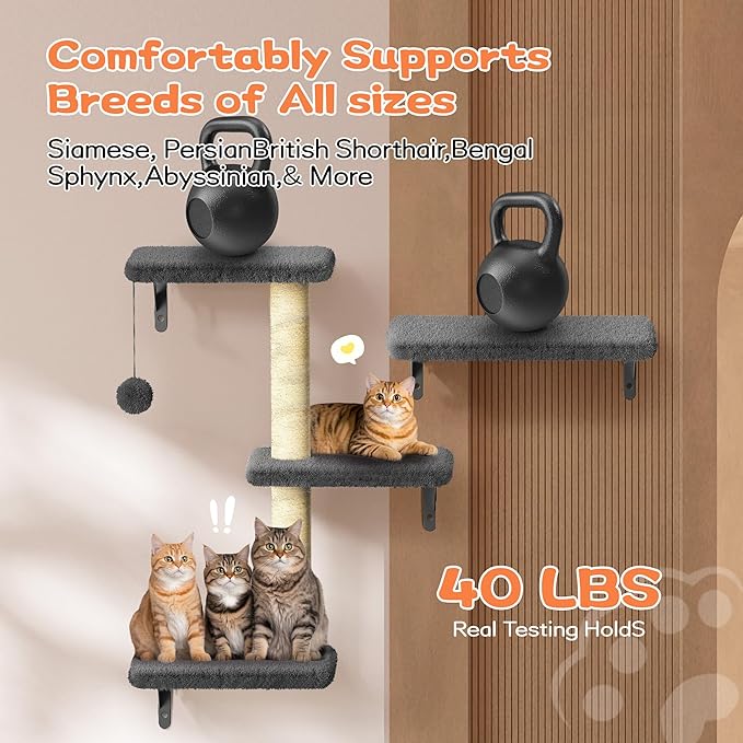 Cat Wall Shelves for Large Cats, Stable & Safe Kitty Walls Furniture Set for 40LBS Cats with Wooden Cat Climber,House, Bridge, Tree, Steps, and Scratcher for 16 Inch Drywall (Black, 5-in-1)