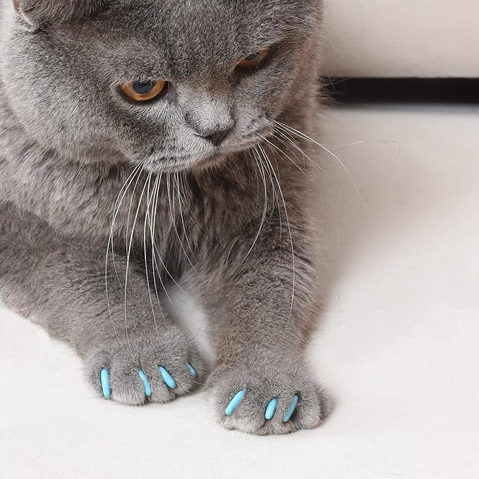 Kitty Caps Nail Caps for Cats, Black with Gray Tips and Baby Blue - Safe, Stylish and Humane Alternative to Declawing, Stops Scratches and Snags, Large 13 lbs or More, 40 Count - 3 Pack