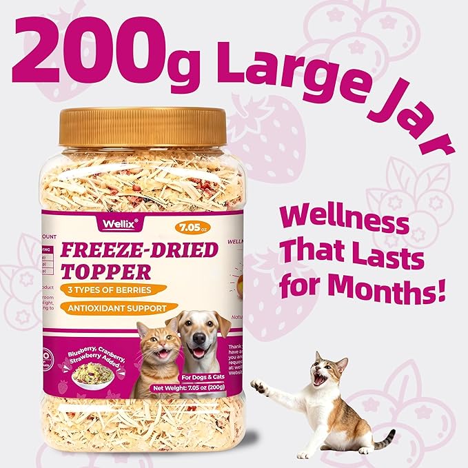 Wellix Freeze Dried Cat & Dog Treats - High Protein Cat Food Toppers with 3 Berries Added (Blueberry/Strawberry/Cranberry for Dogs) - Cat Treats for Indoor Cats 7.05oz
