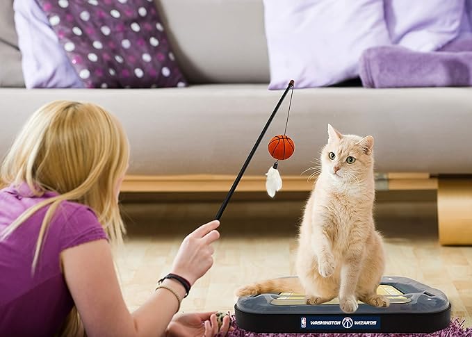 Washington Wizards Basketball Cat Scratcher Toy