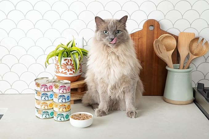 Weruva Senior Cat Food, Chicken and Tuna in Gravy, 5.5oz Can, Pack of 8