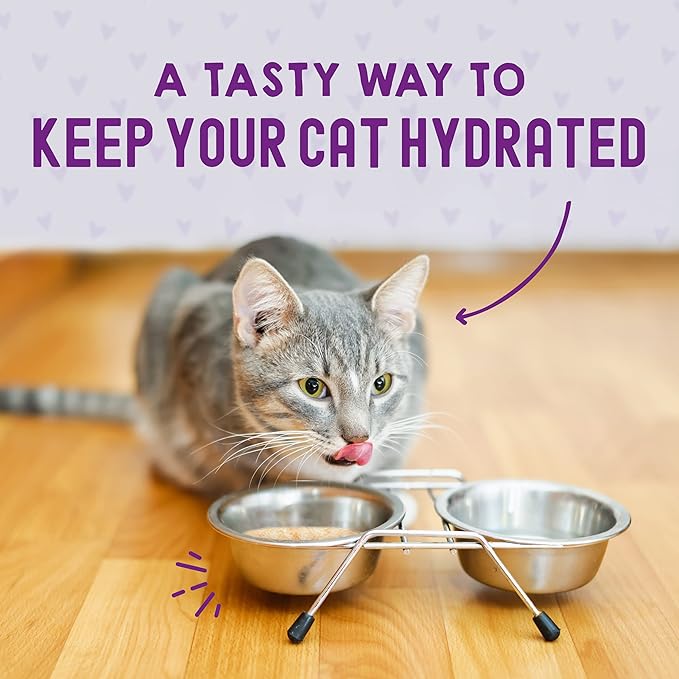 Stella & Chewy's Carnivore Cravings Wet Cat Food - Premium Pouches - Grain Free, High Protein Chicken & Tuna - Perfect for Picky Eaters - Complete Meal or Topper (2.8 oz, 12 Pack)