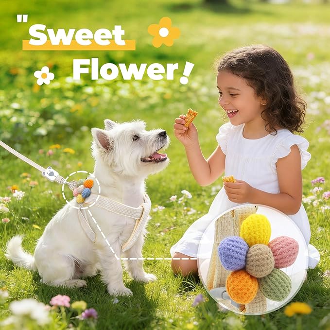 PETCARE Cute Flower Dog Harness and Bowtie Leash Set Easy Walk Puppy Dog Halter Harness for Small Dogs Girl Step in Dogs Harnesses with Buckle (White, Chest Adjustable 11"-17", Rope Width 0.59")