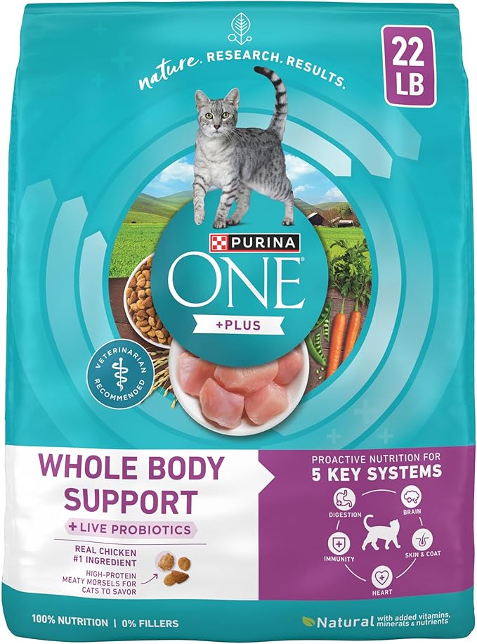 Purina ONE Plus Whole Body Support with Chicken Dry Cat Food - 22 lb. Bag